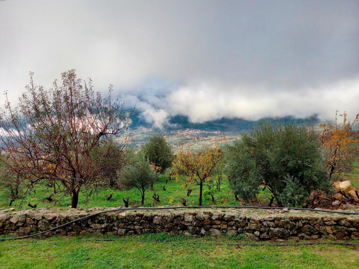 La Cirujana De Gredos Villa San Esteban Del Valle Bagian luar foto